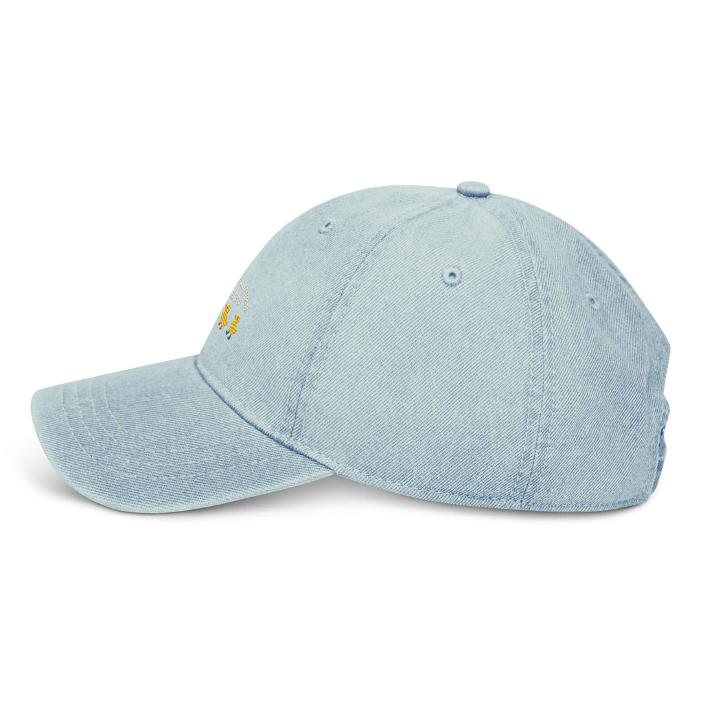 Human Static Co. Get Your Ducks in a Row Denim Dad Cap